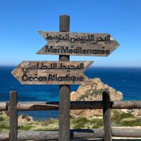 Walking & Biking Tours