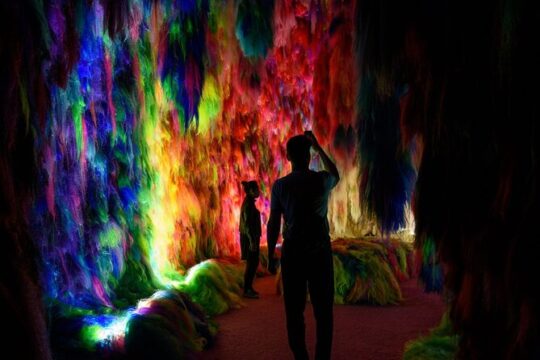 Chromo Sapiens Immerse Yourself in Color Texture and Sound