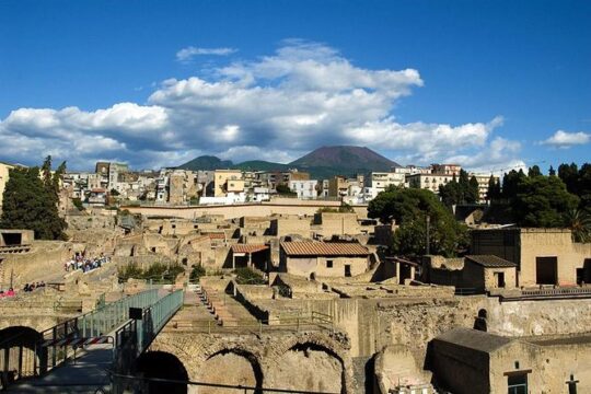Herculaneum Half day by coach