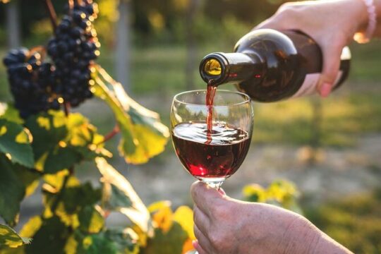 Full-Day Premium Queenstown Wine Tour
