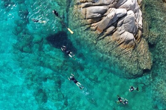 Snorkeling in Tavolara and Molara from San Teodoro