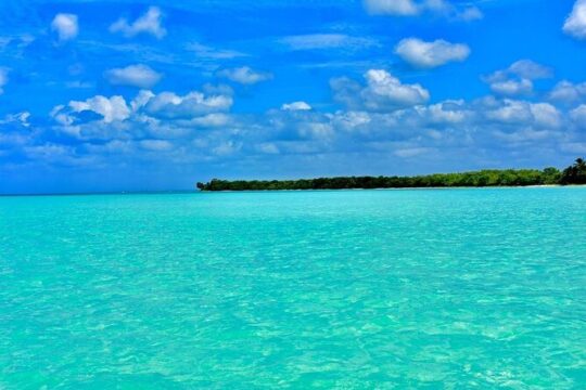 Full day Saona Island with all inclusive and Round trip transfer
