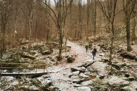 One day Escape to the Countryside of Banat