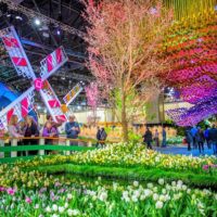 Day Trips & Excursions