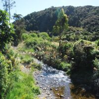 Hiking & Camping