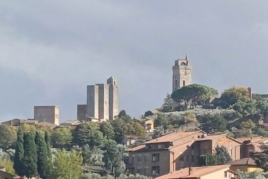 Private 8/9 hour tour to discover Chianti and San Gimignano