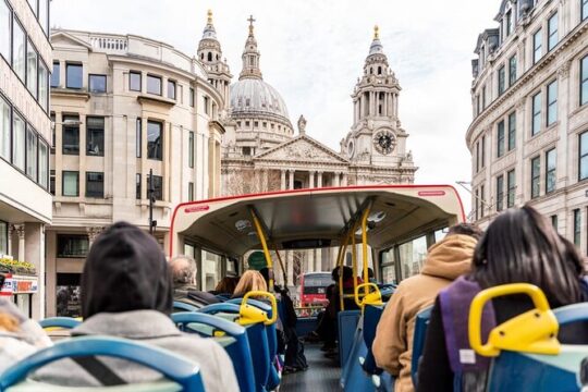 London City Tour with thames cruise & St. Pauls Cathedral ticket