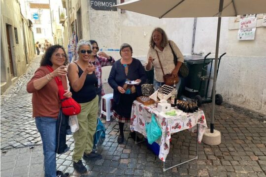 Guided Walking Tour in Lisbon