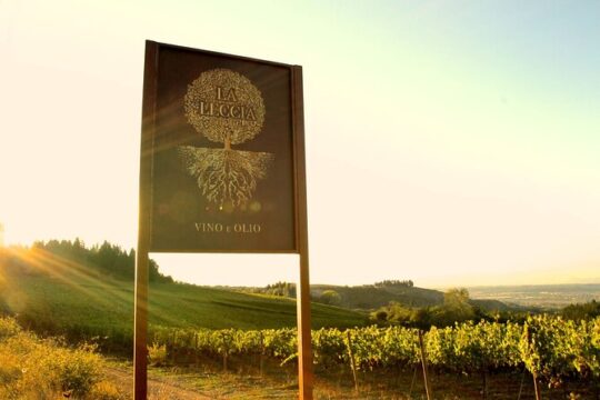 Rebirth and Taste: Wine tasting at Fattoria la Leccia