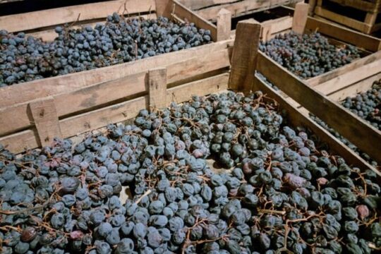 A Sunday of Amarone A Half day wine tour