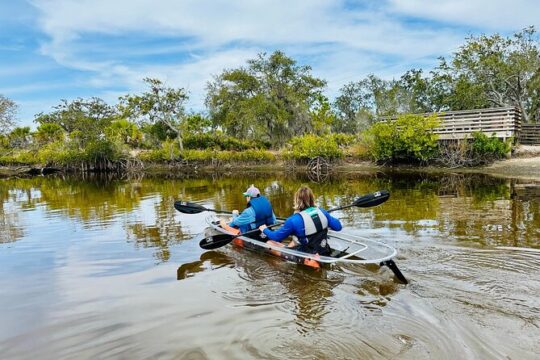 Clear Kayak Ecotour of Tarpon Springs Anclote River