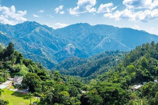 Full Day Kingston and Blue Mountains Group Tour