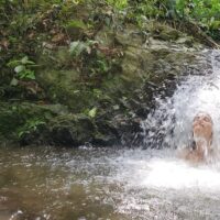 Day Spas