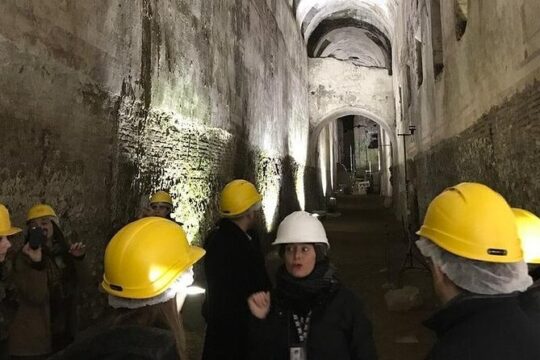 Domus Aurea Skip the Line Ticket Guided Tour