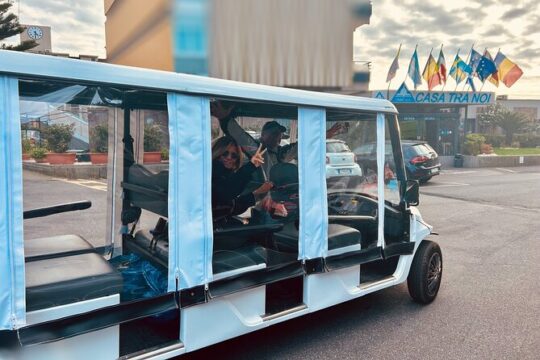 Private Electric Golf Car Tour in Rome