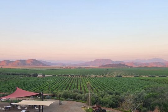 Valle de Guadalupe Wine Trail: Wine Tastings Included