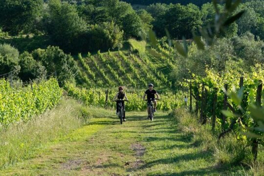 From Lucca Tour In E Bike And Wine Tasting In Chianti