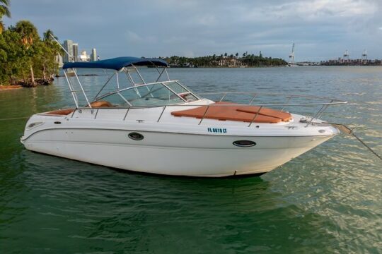 Jet Boat Ride in Miami's Biscayne Bay