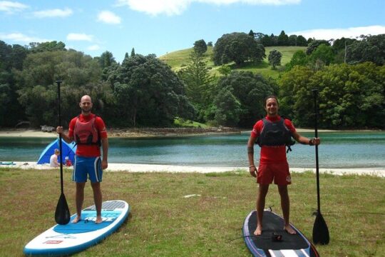 Coromandel Paddle Boarding Experience