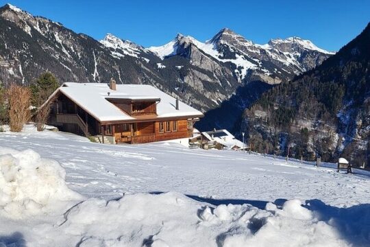 Grindelwald Lauterbrunnen Interlaken Swiss Alps Private Tour