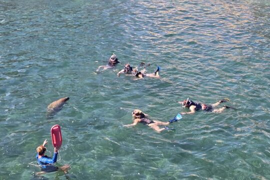 San Juan Snorkel with Manatees and Turtles with Free Rum