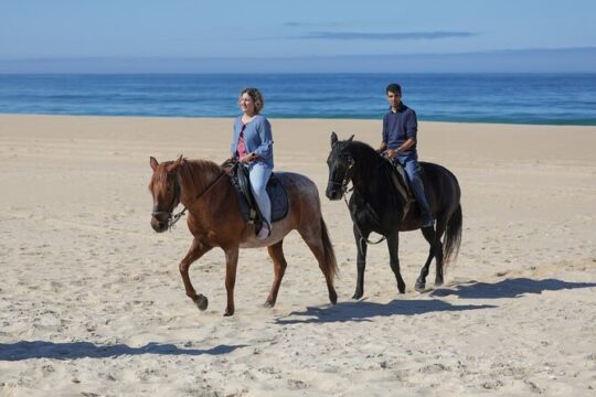Discovering Silver Coast Adventure