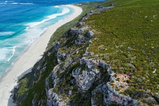 South West Escape Karri and Capes Immersion
