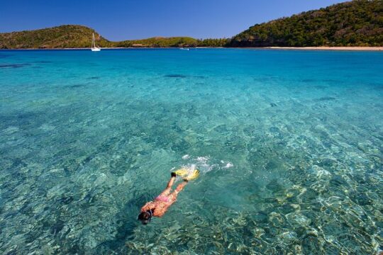 Mantaray Island Day Trip