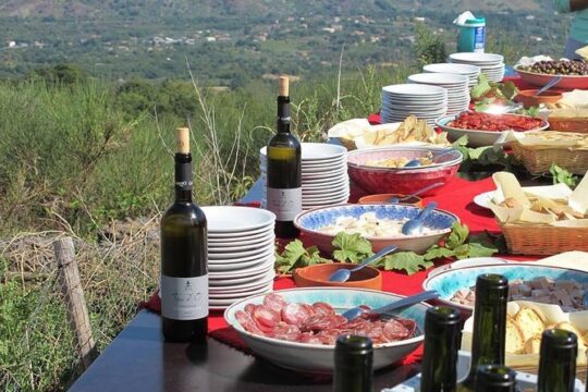 Private 8-Hour Tour of Four Etna Wineries with Tasting