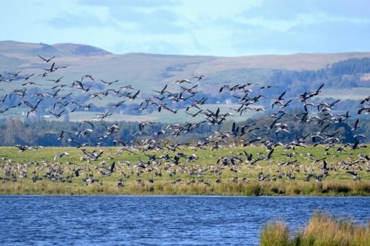 Airborne Loch Leven E-Bike Small Group Tour