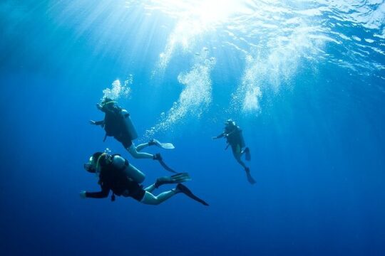 Whitianga Discover Scuba Diving and Fun Diving Option