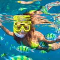 Scuba Diving