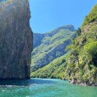 Boat Tours
