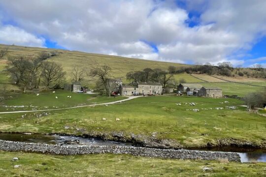 Private "All Creatures Great & Small" Dales Tour from Thirsk