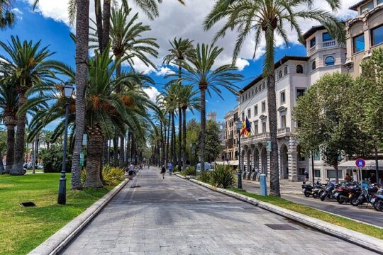 Palma de Mallorca and Valldemossa Excursion from Cruise Port