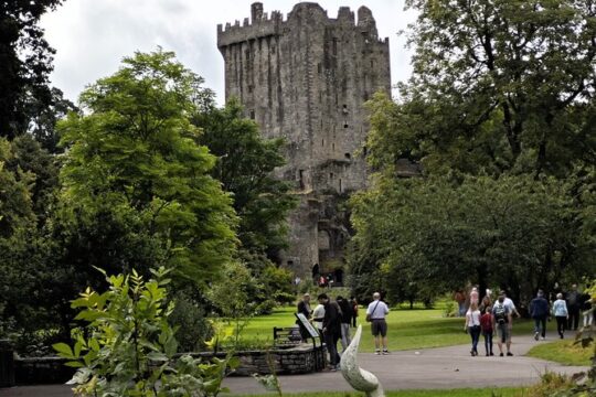 Blarney Castle Private Tour Luxury MPV
