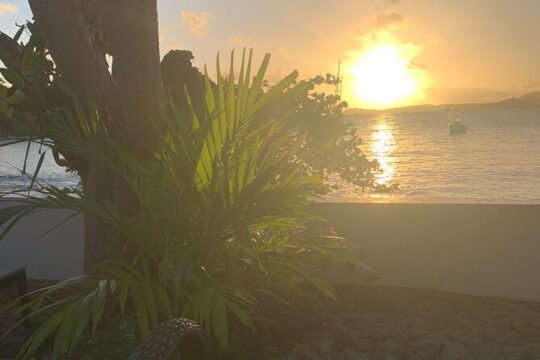Semi Secret Food Tour Adventure in St. John U.S. Virgin Island