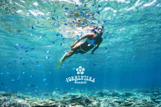 All Inclusive Boat Tour to Playas de Formentera