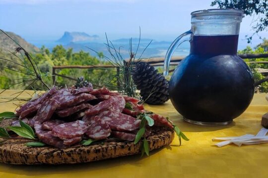 Explore the Scenic Jeep Tour from San Teodoro to Rio Pitrisconi