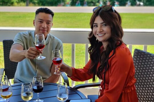 Private Niagara Wine Tour with Cheese and Charcuterie