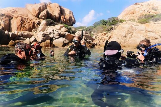 First Dive in Sardinia: La Maddalena Archipelago
