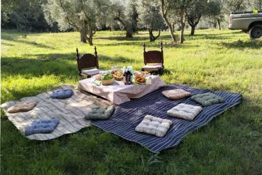 Snack Under The Olive Trees Nature Taste Leisure