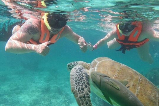 Underwater World Snorkeling Adventure