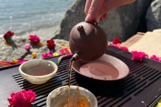 Nature’s Tea Circle Exploring Santa Barbara