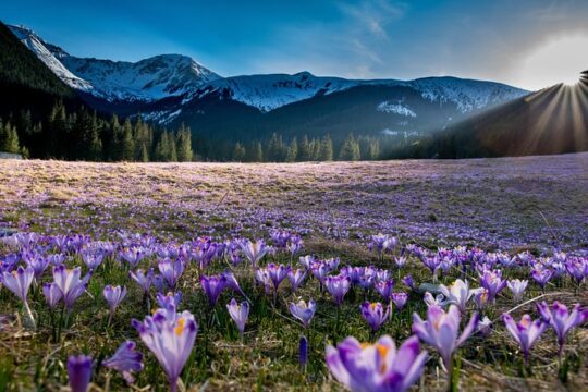 Zakopane and Tatra Mountains and Thermal Baths Private Tour