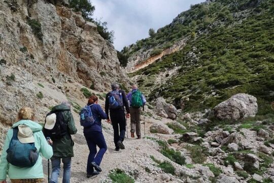 Lefkada Hiking exploration from Eglouvi to Karya