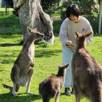 Audio Guided Tours