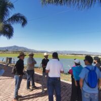 Classic Car Tours