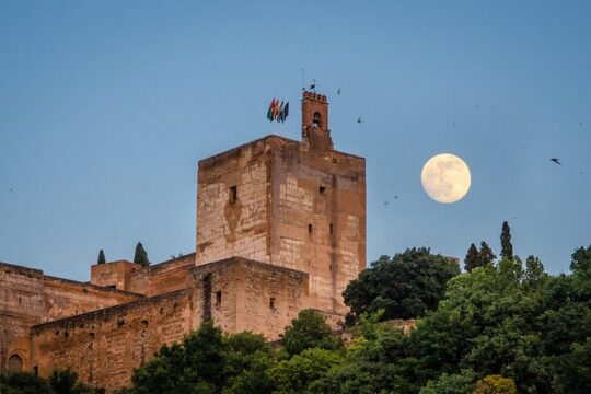 Granada Private Daytrip from Marbella