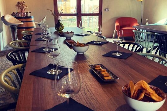 Tarragona Private Food and Wine Tour from Barcelona